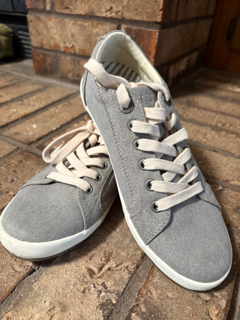 Taos Footwear Gray Canvas Sneakers with Cream Laces